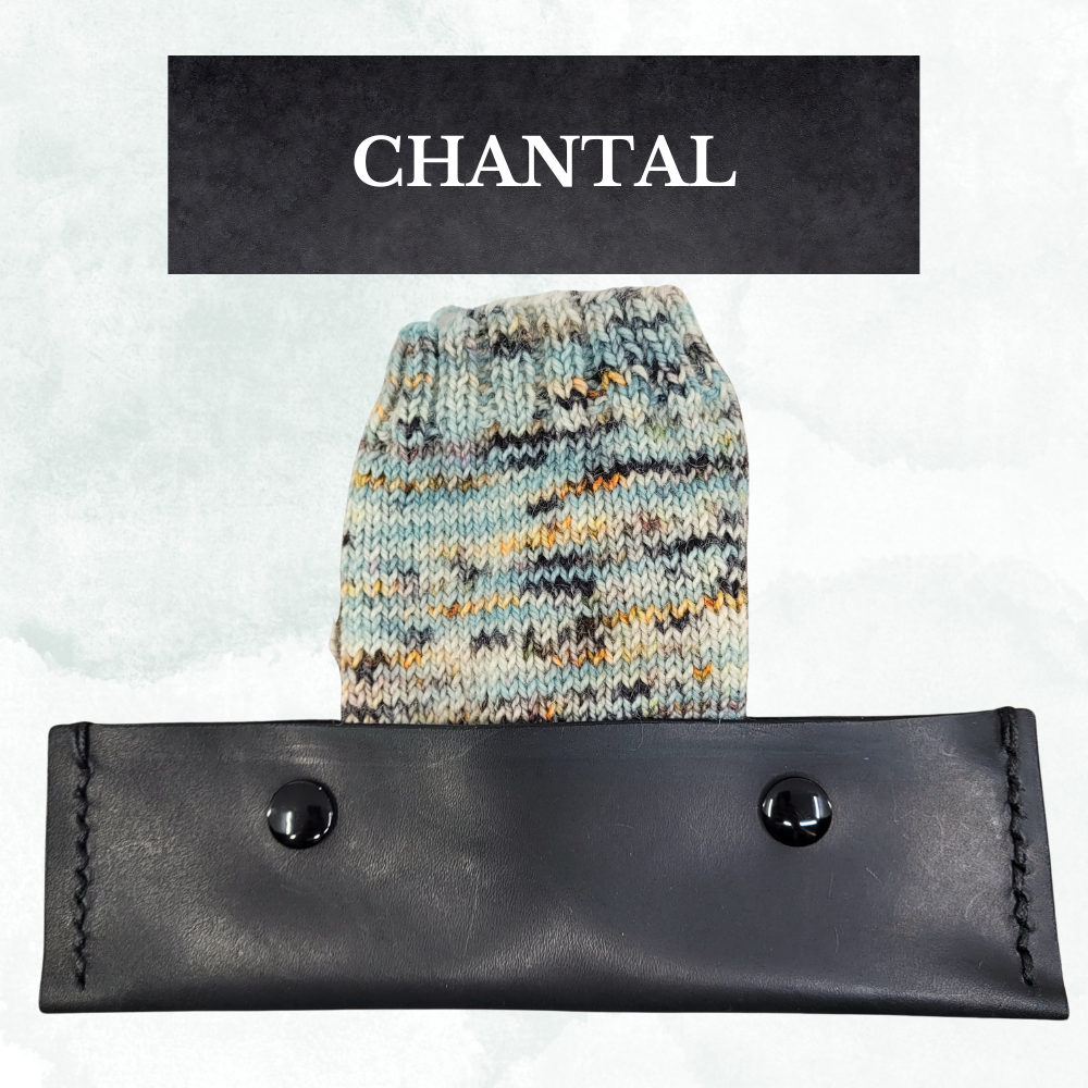 Double Pointed Needles Case by Marc Trudel