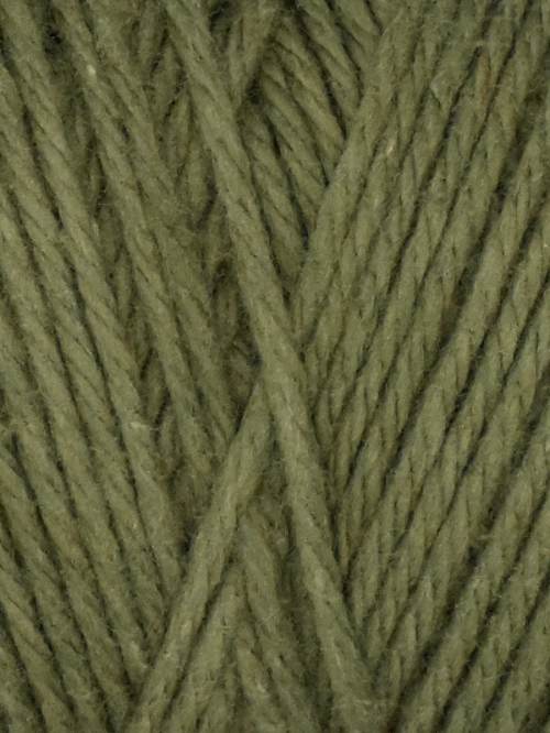 Coastal cotton by Queensland