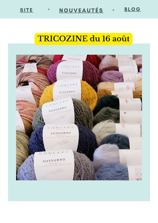 Le TricoZine du 16 Août 2025