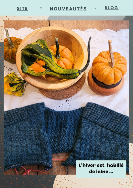 Votre TricoZine du 15 octobre 2025