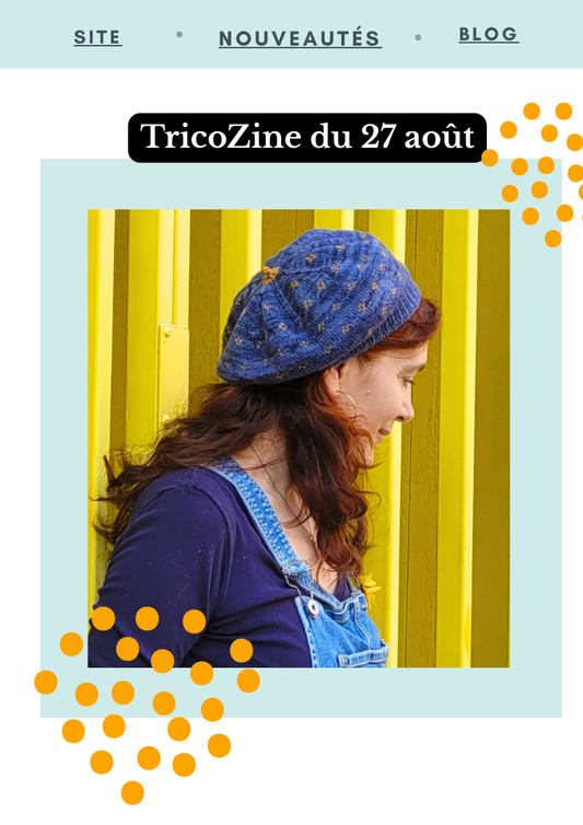 Le TricoZine du 27 août - Un parfum d'automne