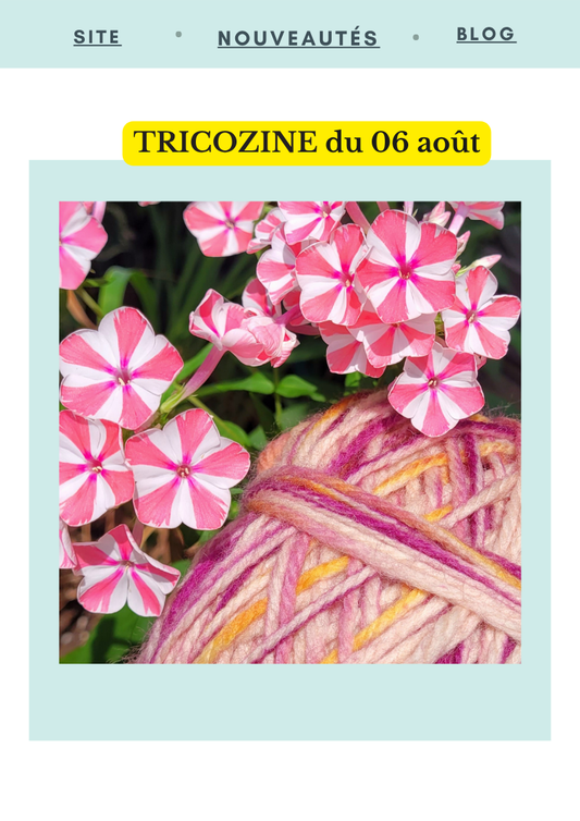 Le Tricozine du 06 août 2025