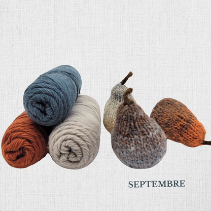 Knitting Kit - "Slip Rib Socks" by Summer Lee