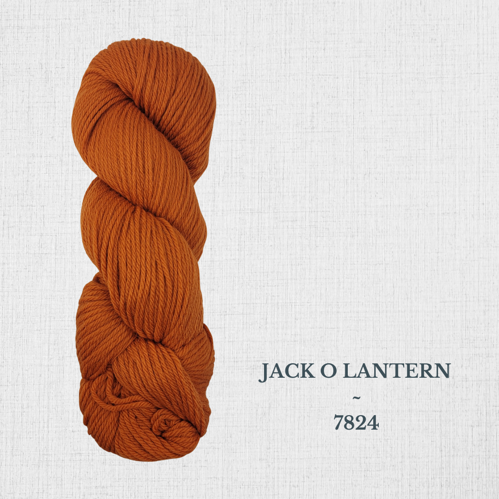 Cascade 220 par Cascade - Laine péruvienne worsted