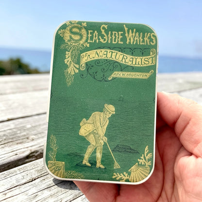 Large Enameled Tins by Firefly Notes