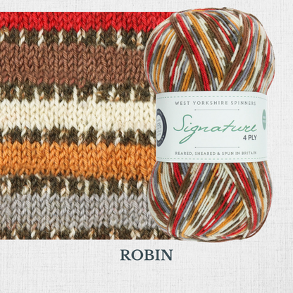 Signature 4 ply - Christmas Collection by West Yorkshire Spinners
