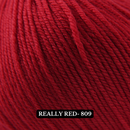 220 Superwash by Cascade 