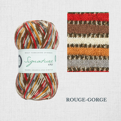 Signature 4 ply - BIRDS Collection by West Yorkshire Spinners