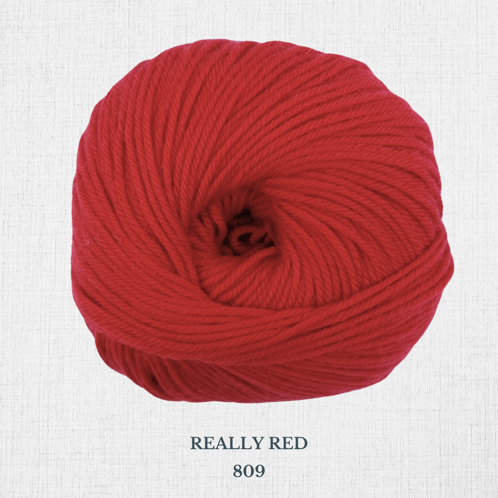 220 Superwash by Cascade 