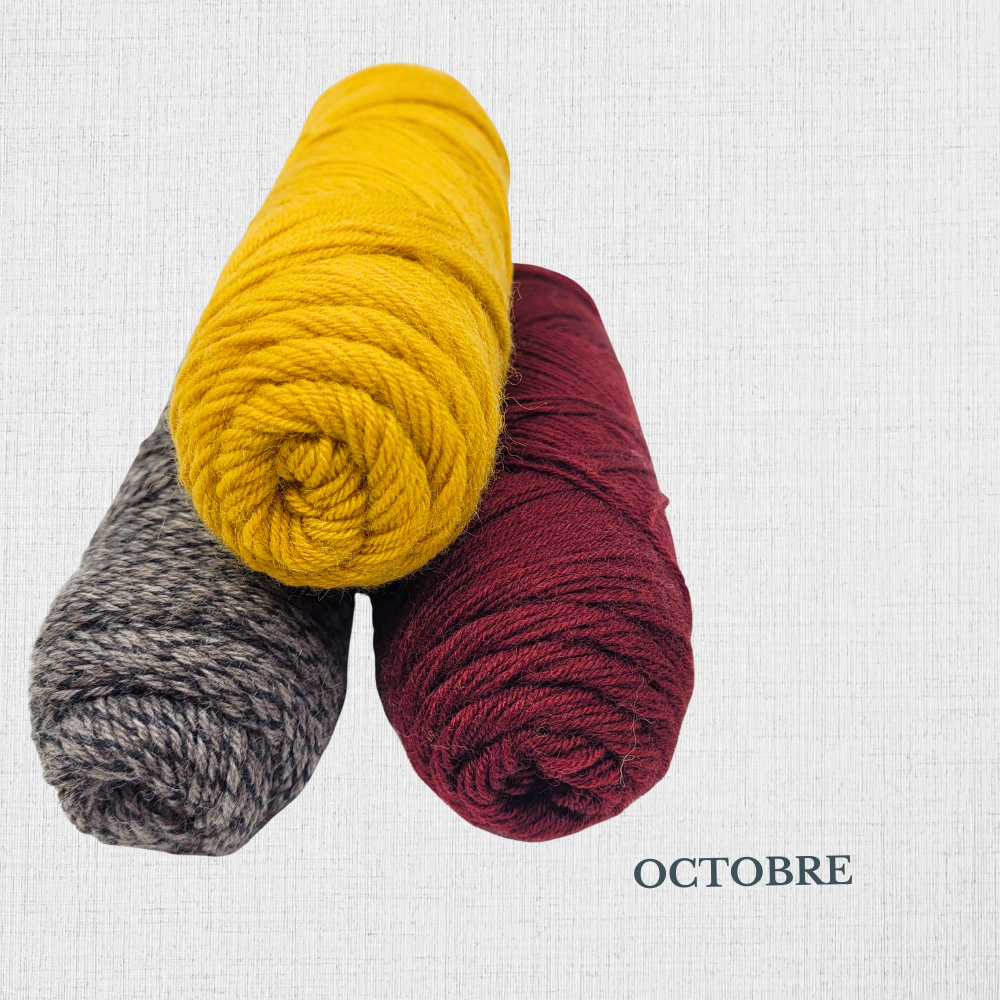 Knitting Kit - "Slip Rib Socks" by Summer Lee