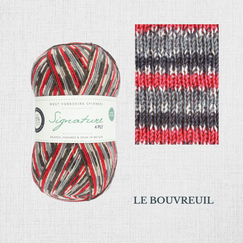 Signature 4 ply - BIRDS Collection by West Yorkshire Spinners