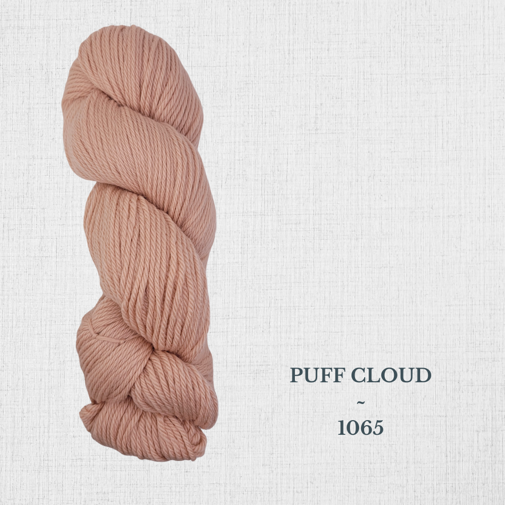 Cascade 220 par Cascade - Laine péruvienne worsted