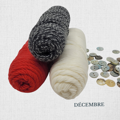 Knitting Kit - "Slip Rib Socks" by Summer Lee