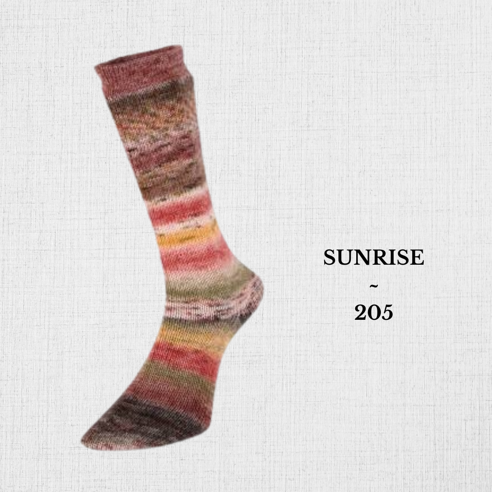 Evolution Celebration Socks by Estelle