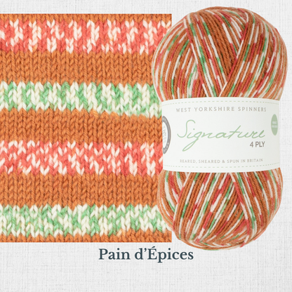 Signature 4 ply - Christmas Collection by West Yorkshire Spinners