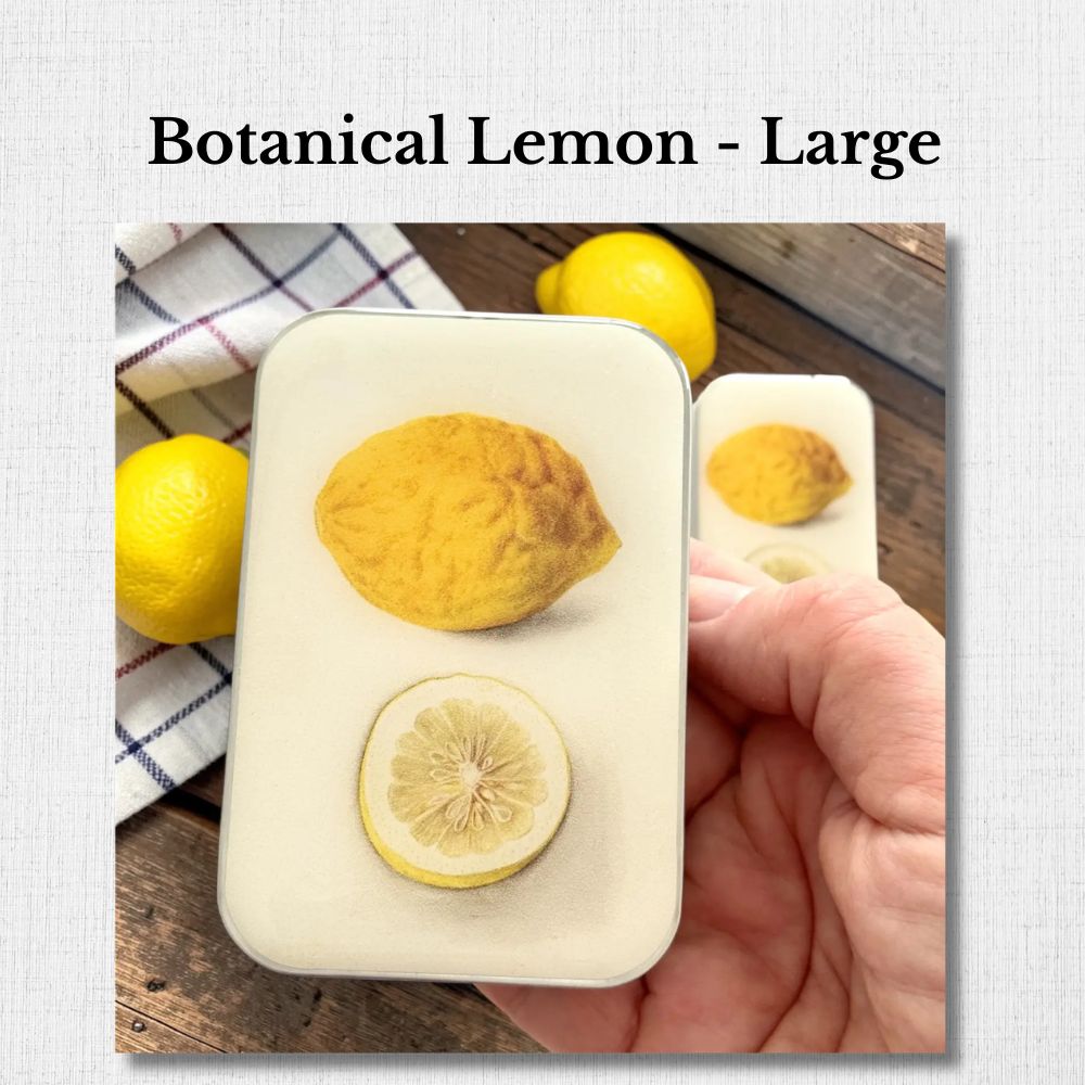 Large Enameled Tins by Firefly Notes