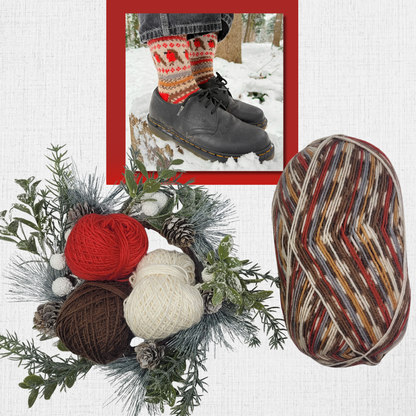 Socks Kit ~ "Festive Robin" by Stone Knit