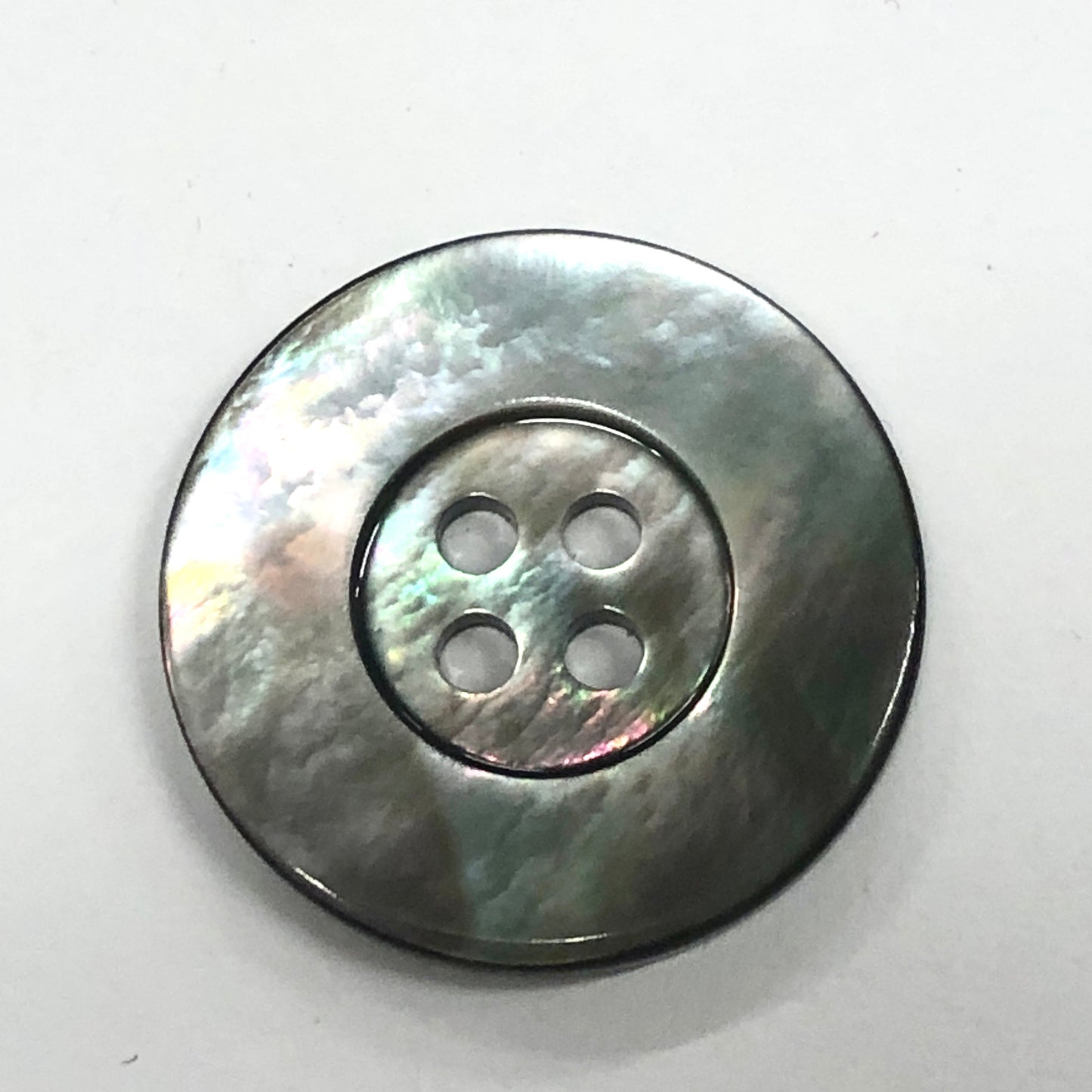 Boutons Coquillage
