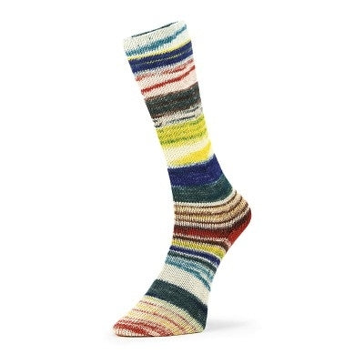 Fil à chaussettes  "Evolution Chroma Socks" par Estelle