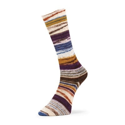 Fil à chaussettes  "Evolution Chroma Socks" par Estelle