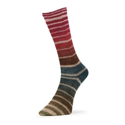 Fil à chaussettes  "Evolution Aurora Socks" par Estelle