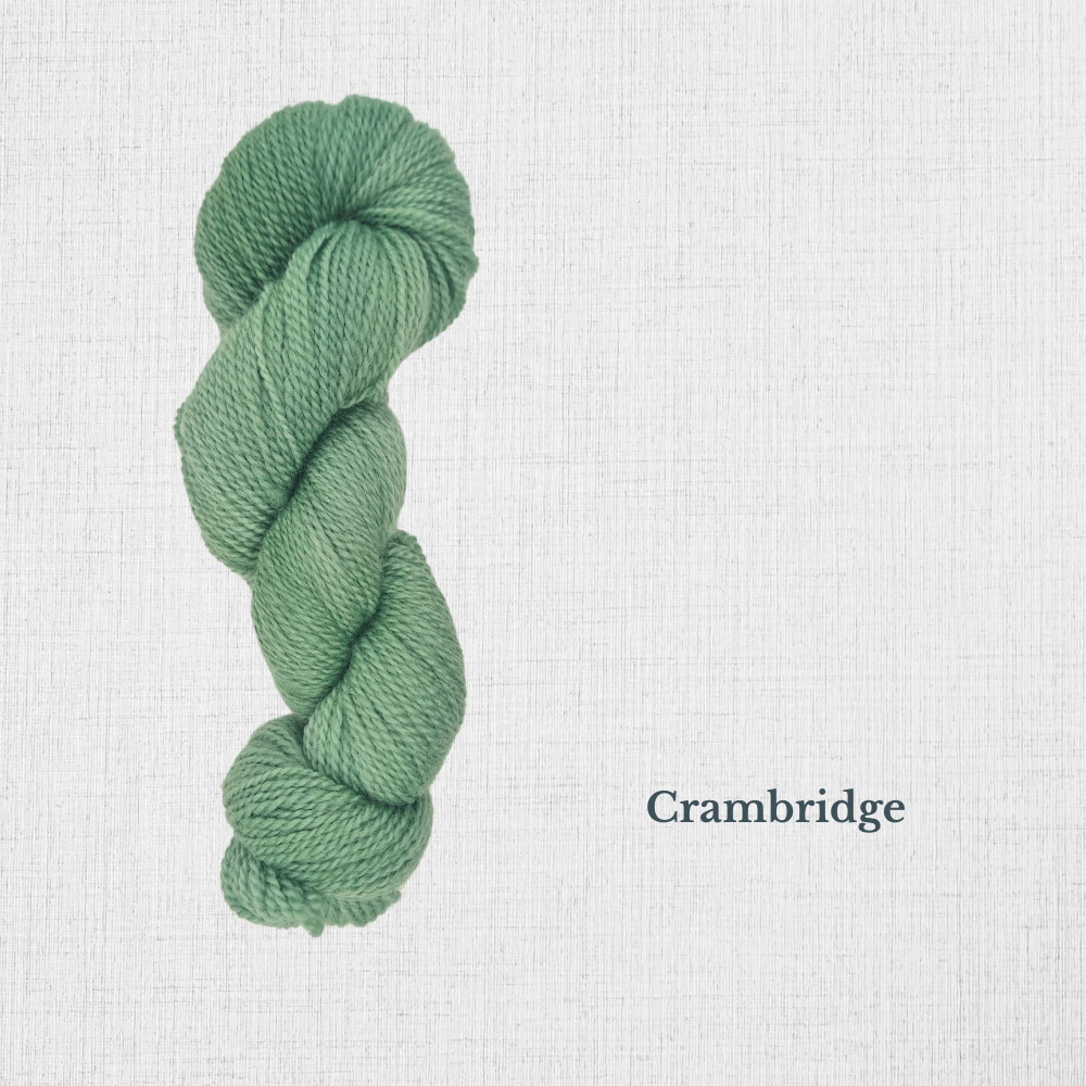 BFL 50g by Riverside Studio