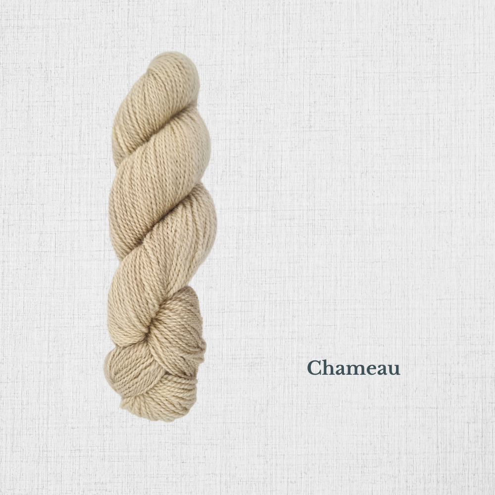 BFL 50g by Riverside Studio